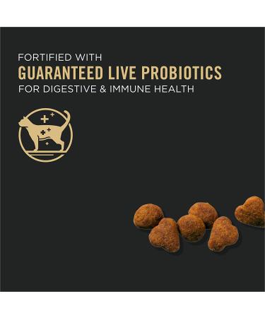 Purina Pro Plan Senior 7+ High Protein Chicken & Rice Cat Food 12.5 lb Bag - Buy Online on GoSupps.com