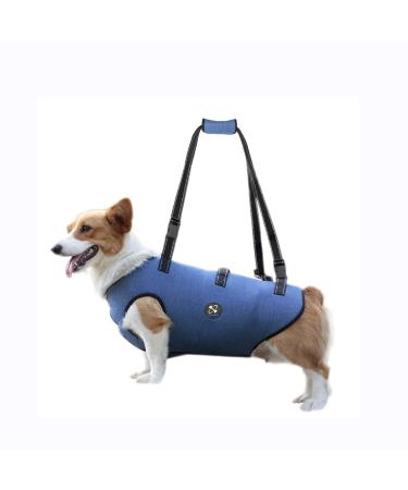COODEO Dog harness lifting belt for pets support and rehabilitation adjustable padded breathable straps for old disabled joint injuries (blue XS) XS blue - Buy Online on GoSupps.com