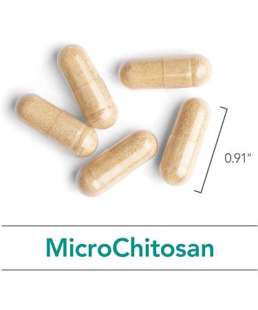 Buy Nutricology MicroChitosan 60 Vegicaps - Premium Dietary Supplement - Buy Online on GoSupps.com