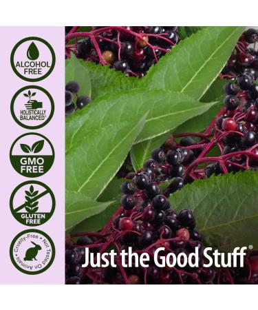 Nature's Answer Sambucus Immune Travel Shot (12 Pack) Elderberry on The Go. 2oz. Alcohol-Free Non-GMO Sambucus Black Elderberry Airplane/Travel Shot - Buy Online on GoSupps.com