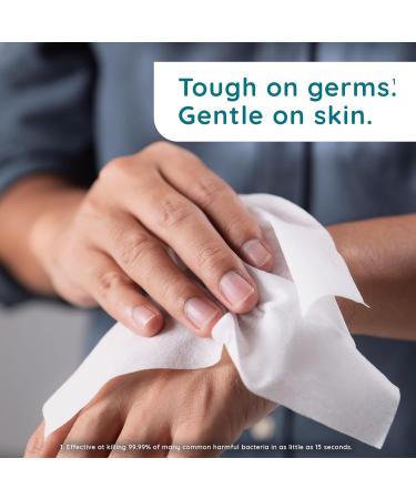 150 ct. Wet Ones Antibacterial Eucalyptus & Mint Hand Wipes Canister | Hand Sanitizer Wipes | Soft Textured & Lightly Scented | 1 Pack - Buy Online on GoSupps.com