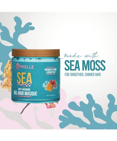 Mielle Organics Sea Moss Anti-Shedding Curl Gel Hair Masque - For Stronger, Healthier Curls - Buy Online on GoSupps.com