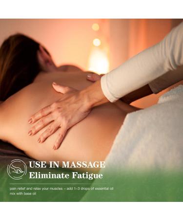 Lavender Oil Essential Oil 4oz Natural Lavender Essential Oil for Diffuser Massage Bathing Skin & Hair Care Home Cleaning Candle Making DIY Freshener - 118ML Lavender (MYDIAIL) - Buy Online on GoSupps.com