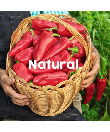 US-FARMERS Natural Premium Paprika Powder 5 Lbs Jar - Sealed Chefs' Choice for Food Service Business - Buy Online on GoSupps.com