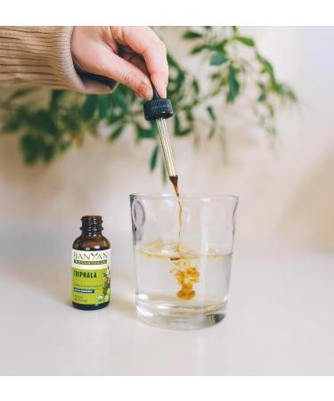 Banyan Botanicals Triphala Liquid Extract - Organic Digestion Supplement with Amla, Haritaki & Bibhitaki Colon Support & Healthy Gut Microbiome* 1 fl oz Non-GMO Sustainably Sourced Vegan - Buy Online on GoSupps.com