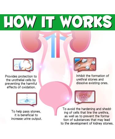 Urinary Support for Dogs - Natural Supplement for Kidney Stones Bladder Health & UTI Prevention - Promotes Urinary Function & Normal pH - 2.02fl oz - Buy Online on GoSupps.com