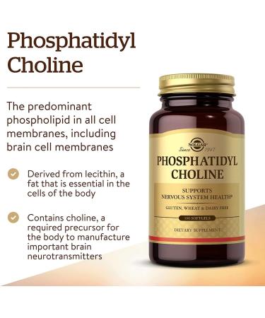 Solgar Phosphatidyl Choline 100 Softgels - Brain & Liver Support Supplement - Buy Online on GoSupps.com
