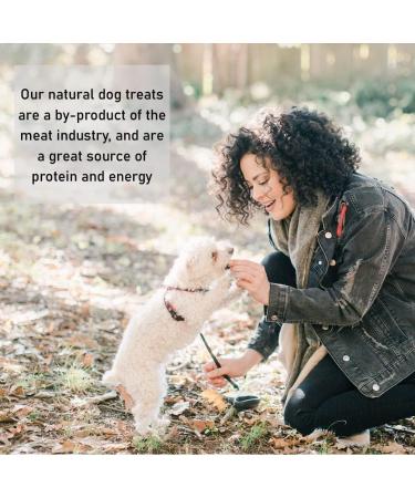 Bald Rabbit Ears Dog Treats 100g - Natural, Hypoallergenic Chews | SLD - Buy Online on GoSupps.com