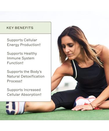 Amy Myers MD Glutathione Supplement - Healthy Cellular Absorption Natural Detox & Immune System Support - Acetyl-Glutathione Nutritional & Immune System Care - Gluten-Free & Non-Dairy - 30 Capsules - Buy Online on GoSupps.com