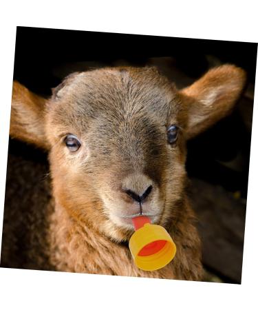 POPETPOP 10pcs Goat Pacifier Puppy Pacifier for Small Dogs Small Animal Milk Drink Sheep Feeders Tool 3X3X6CM Red - Buy Online on GoSupps.com