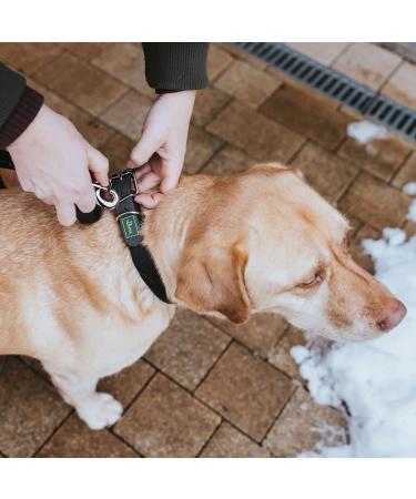 HUNTER Convenience Comfort Dog Collar - Durable Neoprene & Plastic XS-S Size Black - International Shipping Available - Buy Online on GoSupps.com