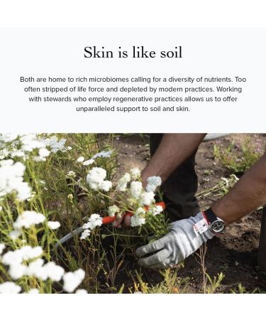 evanhealy Rosehip Calming Serum | Blue Skin Care Line with Organic Whole Essential Oils | Nurturing Soothing Facial Oil Serum | Organic Facial Oil For Sensitive Reactive Skin - Buy Online on GoSupps.com