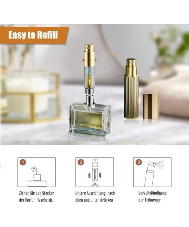 10 ml Perfume Atomiser Refillable Filling Technology without Funnel Empty Perfume Atomiser Spray Bottle for Travel Handbag on the Go (Silver) - Buy Online on GoSupps.com