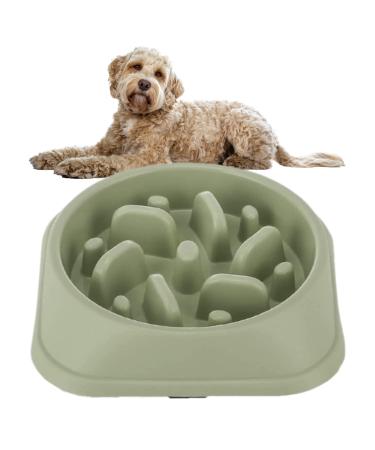 PTROUT Plastic Slow Feeder Dog Bowl dog bowls Prevent Choking and Overeating for Medium & Small Dogs Puzzle Pet Healthy Feeding Bowls with Non-Slip Rubber Feet Green