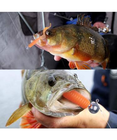 Goture Round Jig Head Hooks 1/4oz 50 Pack for Freshwater and Saltwater Fishing | Pro Swimbait Jig Heads in Fishing Box for Trout, Bass, Crappie - Buy Online on GoSupps.com