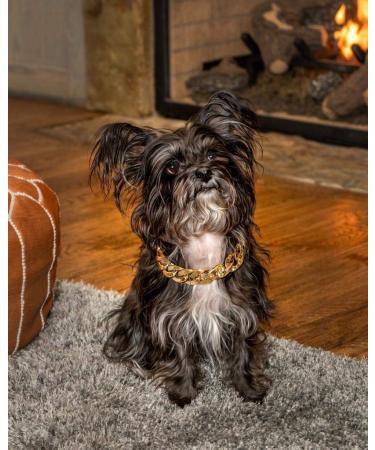 Rose Gold Link Chain Necklace for Small Dogs - 27 cm Lightweight Braided Metal Look - Perfect for Chihuahua, Yorkie, Mini Breeds - Cute Pet Jewelry (Rose Gold) - Buy Online on GoSupps.com