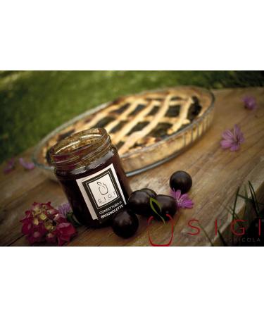 SIGI Azienda Agricola REDCURRANT Jam | Free of Food Dyes Preservatives and Additives | 100% Artisanal and Natural | Handmade and Made in Italy | Jar 220gr. - Buy Online on GoSupps.com