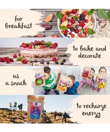 BRIX Freeze-Dried Blackberry | 100% Natural Dry Wild Blackberry 95g | Dried Fruits Great Taste Award | Non-GMO Gluten Free Ve - Buy Online on GoSupps.com