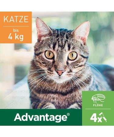 Elanco Advantage Spot-on 40 for Small Cats & Rabbits - Flea Protection 4 Pipettes Easy Application - Buy Online on GoSupps.com