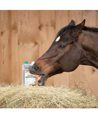 NEW! Ewalia Liver-Renal Juice for Horses - 100% Pure Vitalizing Supplement for Liver & Kidneys - Natural Detox Aid - 2x1 Liters - International Shipping - Buy Online on GoSupps.com
