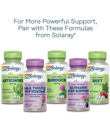 SOLARAY Milk Thistle Seed Extract 350mg | 80% Silymarin | Liver Support | Vegan | Lab Verified | 60 Day Money-Back | 30 Servings - Buy Online on GoSupps.com