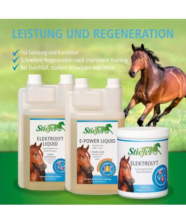 Stiefel E-Power Liquid 1l - Buy Online on GoSupps.com