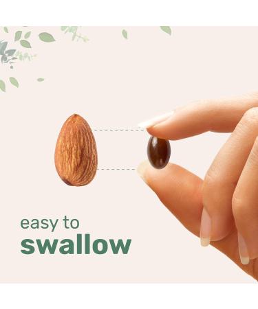 Micro Ingredients Sunflower Lecithin 2 400mg 240 Softgels | Natural Sunflower Seed Oil Source with Phosphatidylcholine | Soy Free Lecithin Supplement | Non-GMO No Gluten - Buy Online on GoSupps.com