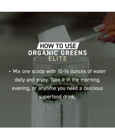 Kaged Organic Greens Elite Superfood and Greens Powder with Apple Cider Vinegar Adaptogen Prebiotics Vitamins & Minerals Berry 30 Servings Berry (Elite) - Buy Online on GoSupps.com