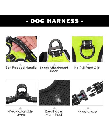 Buy Phoepet Reflective Anti-Educational Dog Crockery | Adjustable XL Green with Training Handle & ID Card - International Shipping Available - Buy Online on GoSupps.com