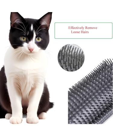 Cat Self Grooming Accessories | Cat Corner Brush with Catnip | Pets Corner Adhesive Rubbing Brush | Cat Accessories for Face and Body Rubs - Buy Online on GoSupps.com