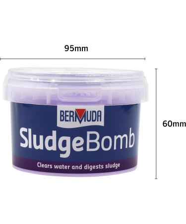 Bermuda Sludge Bomb - for ponds up to 20 000 litres - Buy Online on GoSupps.com