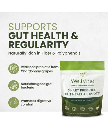 WellVine Premium Smart Prebiotic Gut Health Supplement Powder for Men & Women | Digestive Support & Gut Health With 100% Upcycled Chardonnay Grapes | Plant-Based Gluten and Allergen-Free | 4.75Oz - Buy Online on GoSupps.com