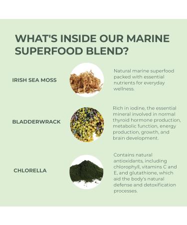 Primal Harvest Sea Moss Capsules with Bladderwack and Irish Sea Moss Chlorella Broccoli Seed Extract Plant-Based Supplements for Adults - Buy Online on GoSupps.com