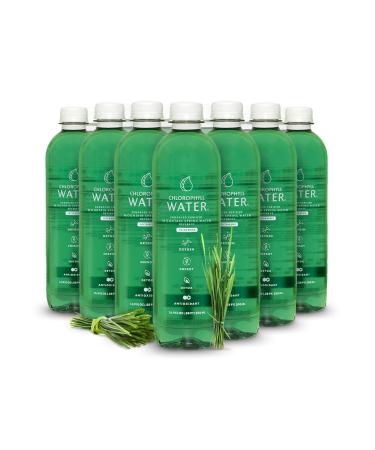 Chlorophyll Water Purified Mountain Spring Water w/ Liquid Chlorophyll & Vitamins A, B12, C, D | Plant Based Chlorophyll Liquid Vitamin Water | Antioxidants, Detox, Energy Boost Immune Support 12pk