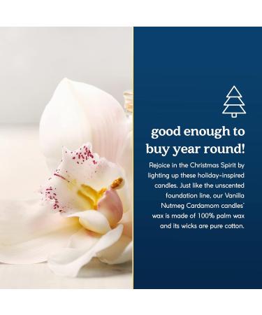 Paraffin-Free Scented Candle in Gold Tin - Vegan Palm Wax Spicy Vanilla Nutmeg Cardamom - 30-Hour Burn - Ideal Holiday & Birthday Gifts for All - Buy Online on GoSupps.com