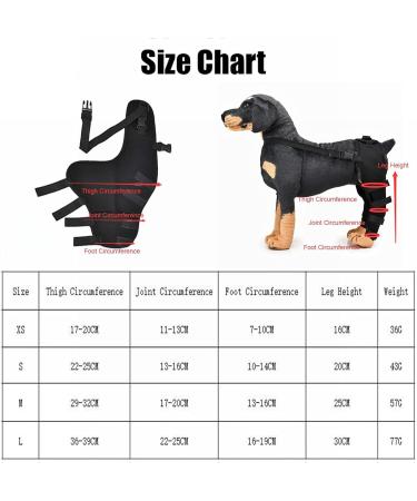 Dog Rear Hind Leg Joint Brace Pet Dog Double Hind Leg Brace Support Belt for Heals Prevents Injuries Sprains Protects Wounds. B Large - Buy Online on GoSupps.com