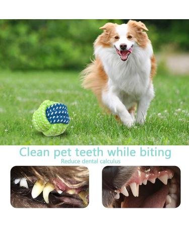 Amzeeniu 14 Pcs Dog Toys Set - Durable Rope Balls & Chew Toys for Small Medium & Large Dogs - Interactive Training & Teething Play - Buy Online on GoSupps.com
