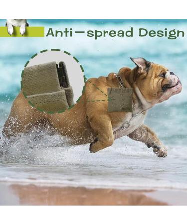 Hands-Free Dog Treat Bag with Automatic Closure - Small Food Bags for Dog Training | Puppy Treat Bag with Carabiner - Green - Buy Online on GoSupps.com