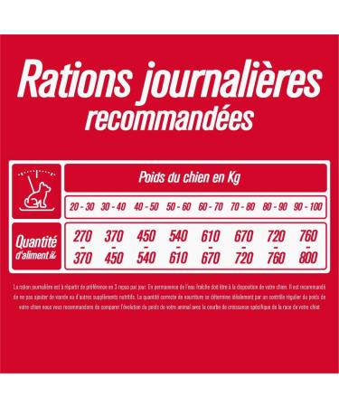 Iso dog - Premium Croquettes for Large Breed Dogs - Gluten-free - Optimal digestion - Rich in Chicken - 12kg - GMO-free - 100% Natural raw materials - Buy Online on GoSupps.com