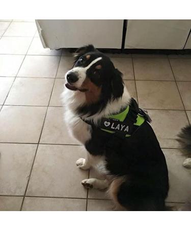 Custom Labels for Julius K9 - Pair of Interchangeable Size Patches - Black - Easy to Use with Julius K9 Harnesses - Reflective - Logo Illustration - Product Information - Powerharnesses Compatible - Buy Online on GoSupps.com