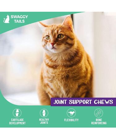SWAGGY TAILS Glucosamine for Cats - Joint Inflammation Supplement with MSM, Chondroitin & Antioxidants | Premium Arthritis Pet Supplements (90 Chews) - Buy Online on GoSupps.com
