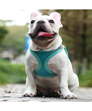Buy Giapinst No-Pull Dog Harness for Small Dogs | Adjustable Pet Safety Harness with Breathable Mesh & Reflective Stripes | Green & Gray (M: 17.3-18.9 in) - Buy Online on GoSupps.com