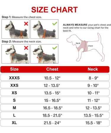 Joyal Dog Harness - Reflective Soft Padded Air-Mesh Harness for XS Puppies & Small Dogs (34-38cm) - Red - Buy Online on GoSupps.com