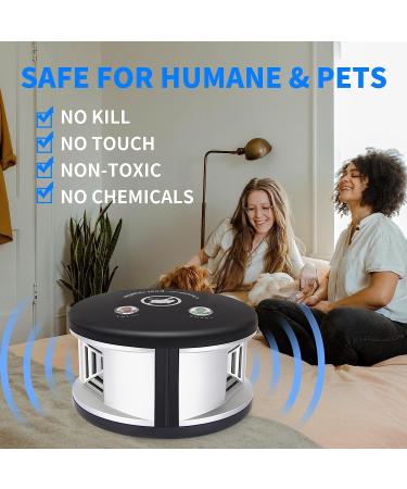 Careland Ultrasonic Repellers 4-in-1 Rodent Repellent | Indoor Pest Control | Squirrel, Mouse, and Mice Repellent | Plug-in Home Defense (Black) - Buy Online on GoSupps.com