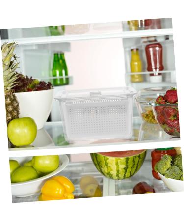 Zerodeko Box 2 Refrigerator Crisper Fridge Storage Containers Food Container Storage Box Japanese-style - Buy Online on GoSupps.com