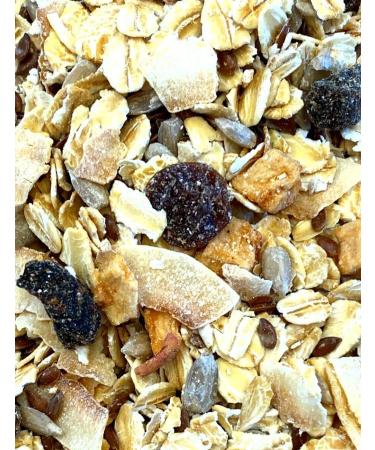 Tooma - CRAZY MUESLIS FAMILY discovery pack | ORGANIC | French artisanal production | No refined sugars | Whole grains | Ultra-nourishing | Pack of 5 x sachets - Buy Online on GoSupps.com