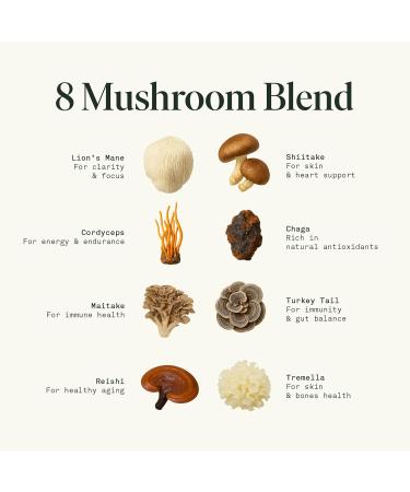 Fantastic Fungi Mushroom Extract - 8-in-1 Organic Complex Mushroom Supplement with Cordyceps Reishi Lion s Mane Chaga Turkey Tail Shiitake Maitake & Tremella - Adaptogen Liquid Tincture 1 fl oz Gratitude - Buy Online on GoSupps.com