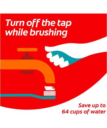 Colgate Kids Toothbrush for Ages 2-6 - Extra Gentle Manual Toothbrush with Suction Cup (Pack of 3) - Buy Online on GoSupps.com