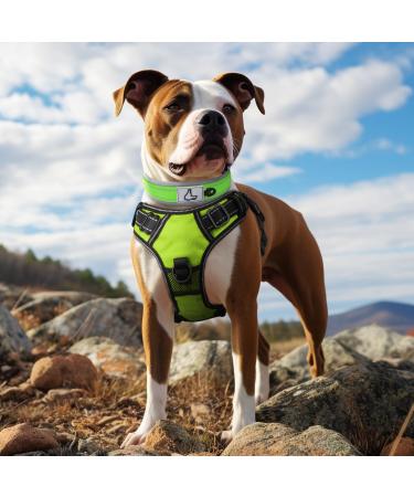 Joytale Neoprene Dog Collar for Large Dogs - Softly Padded Reflective Nylon Green (Size L) - 1 Pack - Buy Online on GoSupps.com