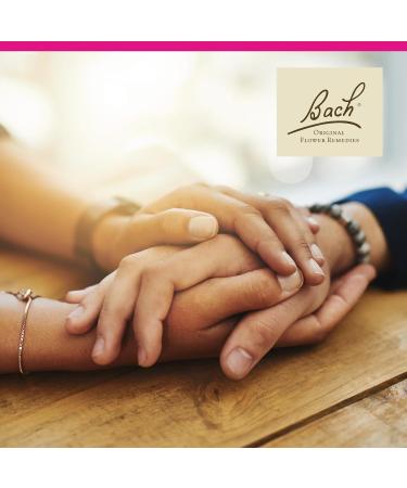 Nelson Bach Original Flower Remedies Star of Bethlehem Neutralize Grief 0.7 Fl Oz 20 Ml (Pack of 1) - Buy Online on GoSupps.com